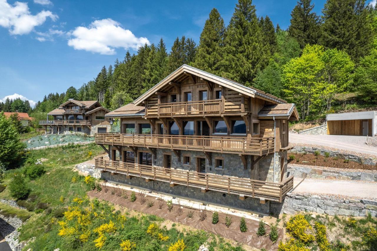 Aigle Des Neiges 5 Etoiles Villa Gerardmer Bagian luar foto